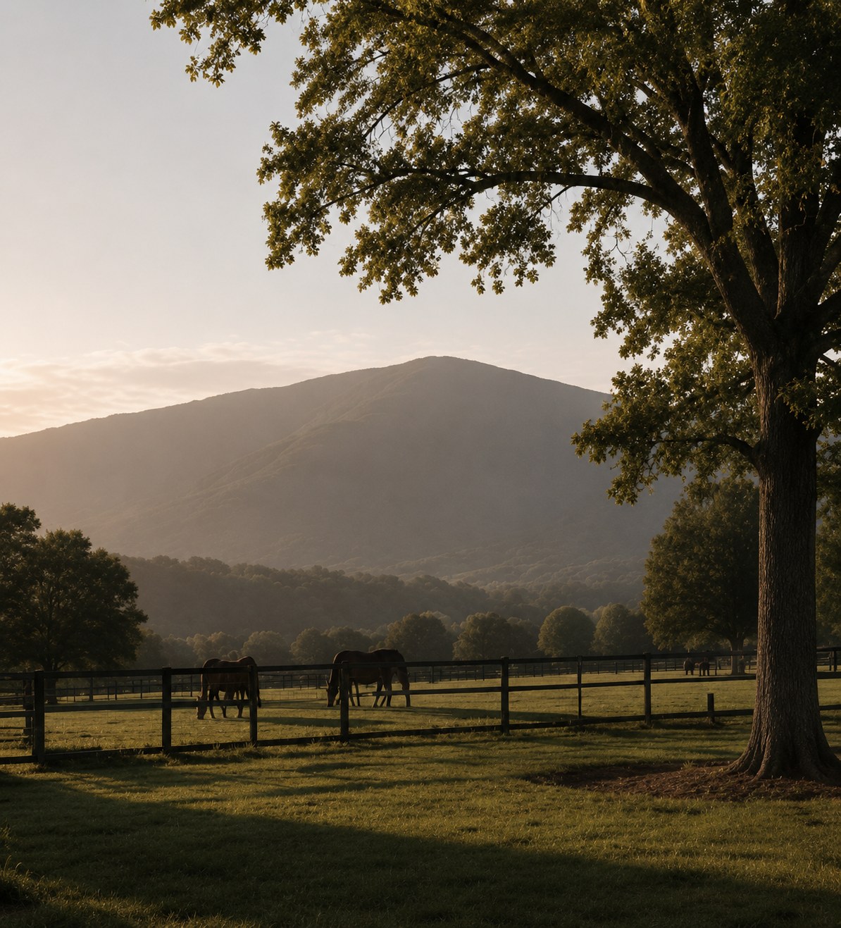 Equestrian landscape