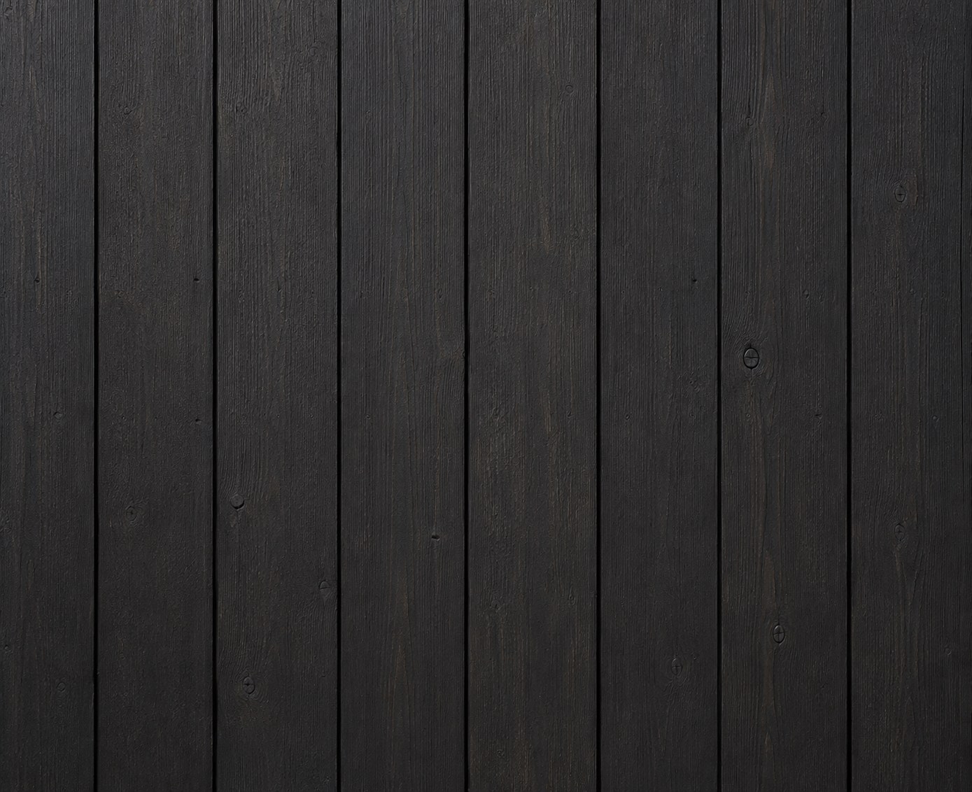 Charred Timber