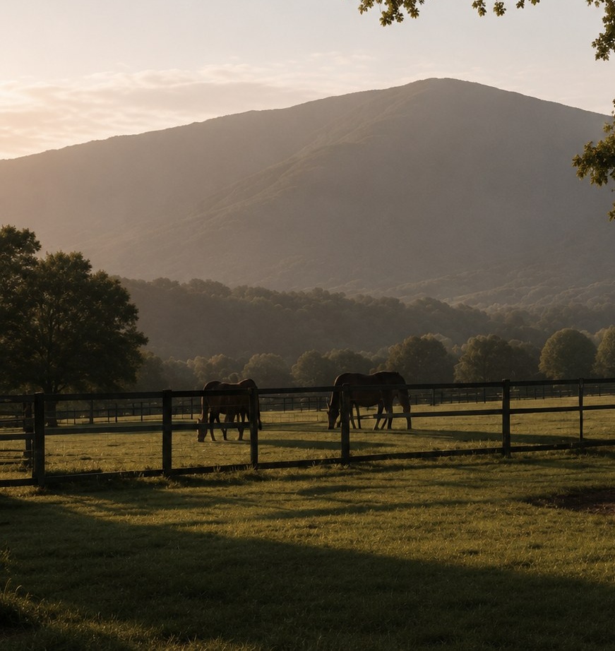 Horses in a Canterbury landscape